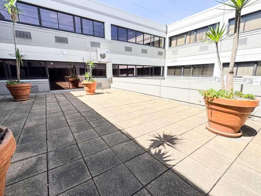 To Let Commercial Property for Rent in Mowbray Western Cape